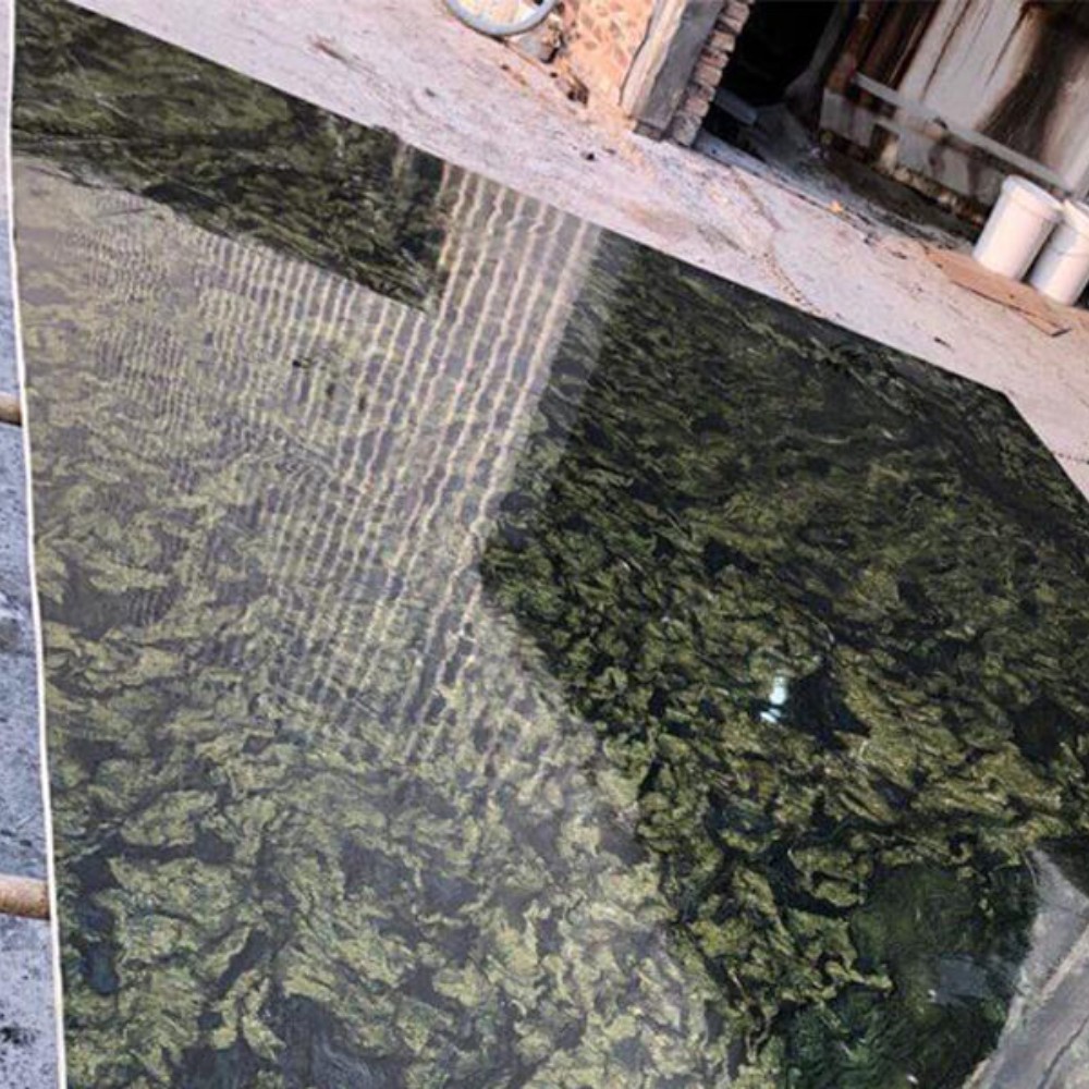 Picasso Green Granite Slab